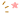 Alt Tag Alt Tag