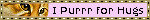 i purr for hugs i purr for hugs